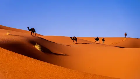 Al Aaroui